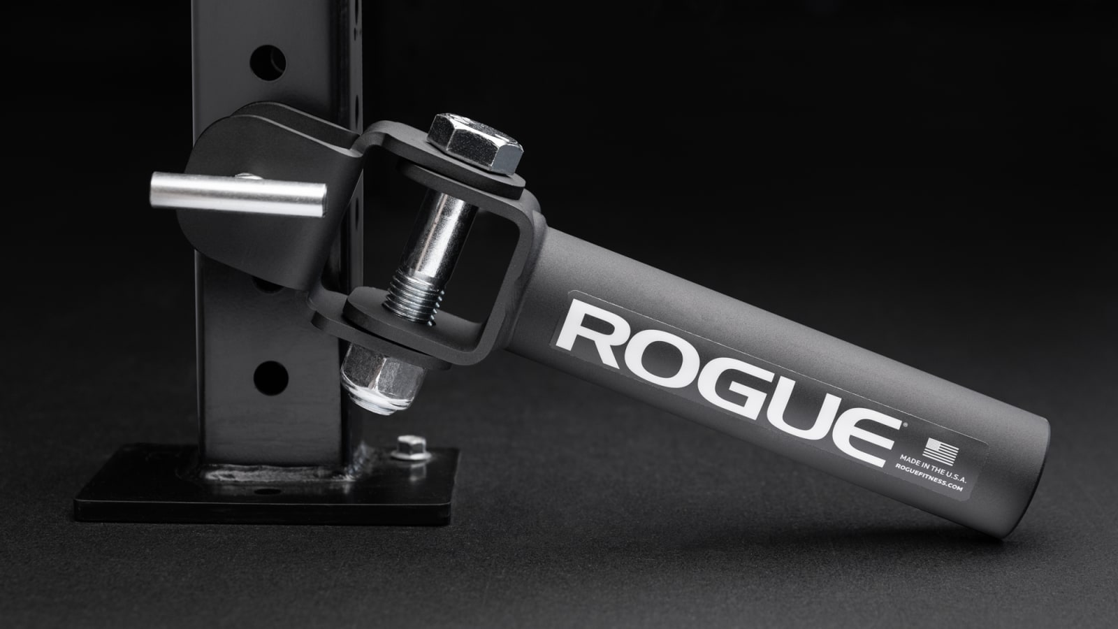 Rogue Rogue Landmine